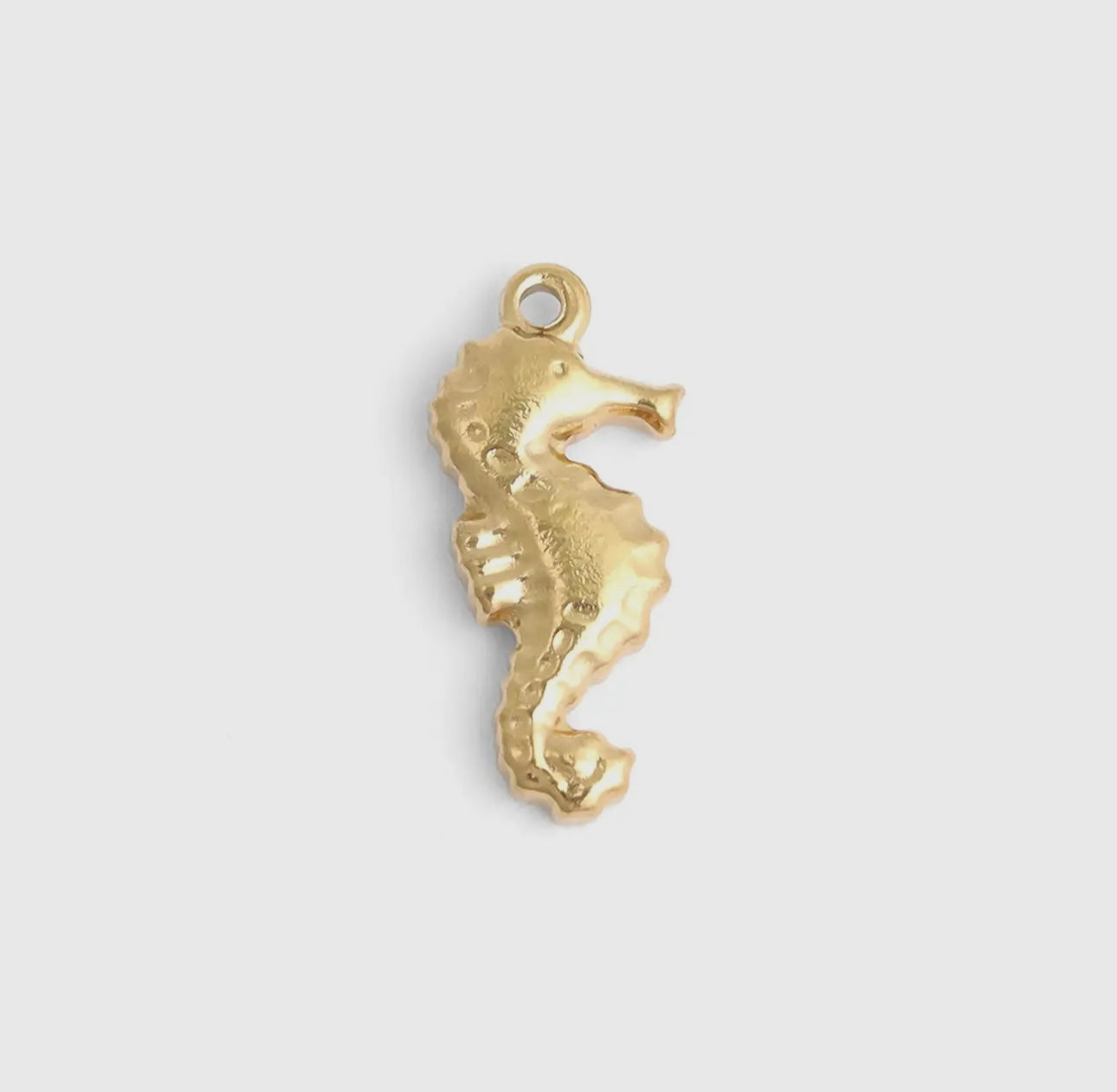 Seahorse